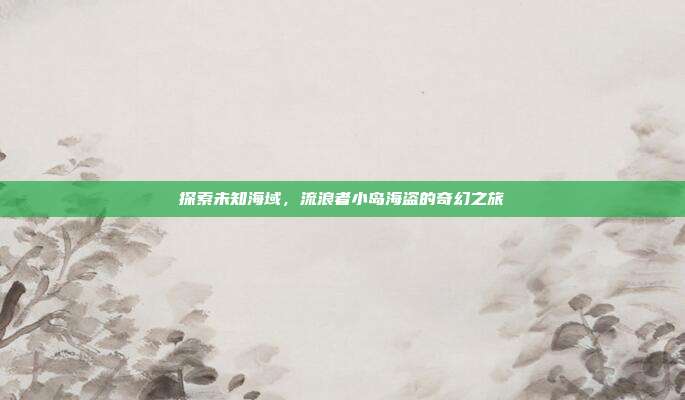 探索未知海域,流浪者小岛海盗的奇幻之旅-第1张图片-速奇网 探索未知海域,流浪者小岛海盗的奇幻之旅-第1张图片-速奇网