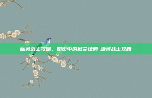 幽灵战士攻略，暗影中的致命法则-幽灵战士攻略-第1张图片-速奇网