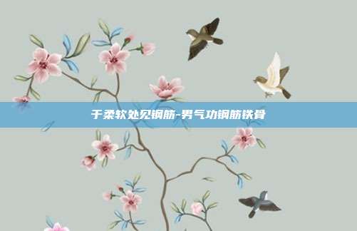 于柔软处见钢筋-男气功钢筋铁骨-第1张图片-速奇网