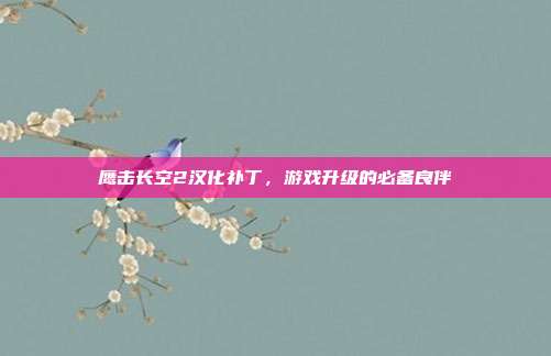 鹰击长空2汉化补丁，游戏升级的必备良伴-第1张图片-速奇网