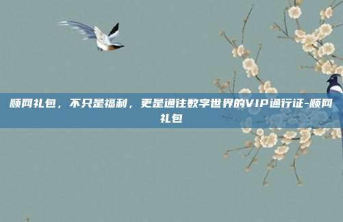 顺网礼包，不只是福利，更是通往数字世界的VIP通行证-顺网礼包-第1张图片-速奇网