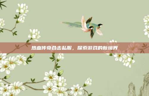 热血传奇合击私服,探索游戏的新境界-第1张图片-速奇网 热血传奇合击私服,探索游戏的新境界-第1张图片-速奇网