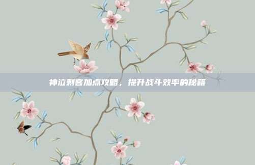 神泣刺客加点攻略，提升战斗效率的秘籍-第1张图片-速奇网