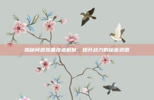 揭秘问道装备改造机制，提升战力的秘密武器-第1张图片-速奇网