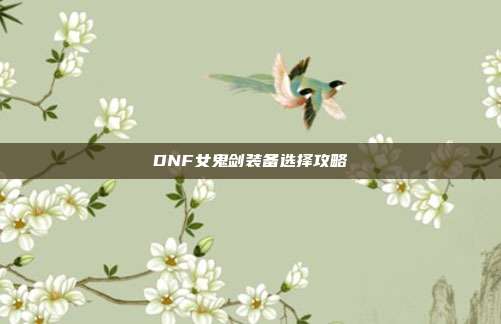 DNF女鬼剑装备选择攻略-第1张图片-速奇网