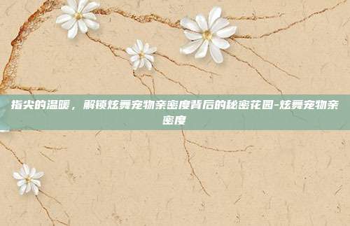 指尖的温暖,解锁炫舞宠物亲密度背后的秘密花园-炫舞宠物亲密度-第1张图片-速奇网 指尖的温暖,解锁炫舞宠物亲密度背后的秘密花园-炫舞宠物亲密度-第1张图片-速奇网