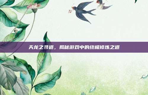 天龙之寻道,揭秘游戏中的终极修炼之道-第1张图片-速奇网 天龙之寻道,揭秘游戏中的终极修炼之道-第1张图片-速奇网