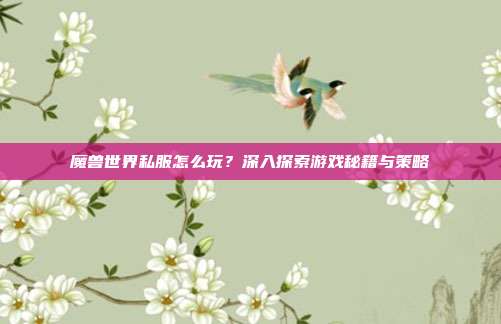 魔兽世界私服怎么玩？深入探索游戏秘籍与策略-第1张图片-速奇网