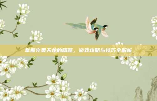 掌握完美天龙的精髓,游戏攻略与技巧全解析-第1张图片-速奇网 掌握完美天龙的精髓,游戏攻略与技巧全解析-第1张图片-速奇网