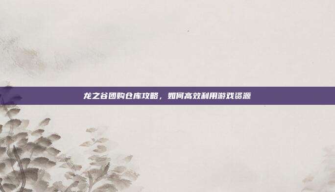 龙之谷团购仓库攻略,如何高效利用游戏资源-第1张图片-速奇网 龙之谷团购仓库攻略,如何高效利用游戏资源-第1张图片-速奇网