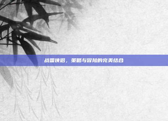 战国侠侣,策略与冒险的完美结合-第1张图片-速奇网 战国侠侣,策略与冒险的完美结合-第1张图片-速奇网