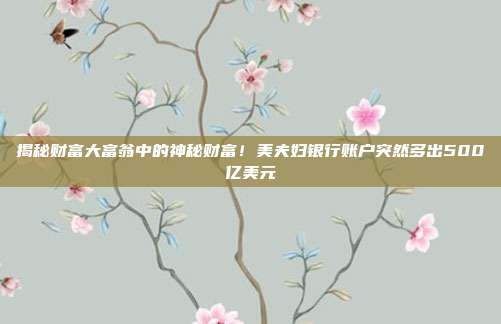 揭秘财富大富翁中的神秘财富！美夫妇银行账户突然多出500亿美元-第1张图片-速奇网