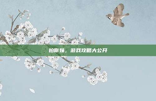 拍你妹，游戏攻略大公开-第1张图片-速奇网