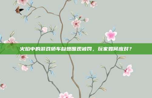 火焰中的游戏轿车自燃围观被罚,玩家如何应对?-第1张图片-速奇网 火焰中的游戏轿车自燃围观被罚,玩家如何应对?-第1张图片-速奇网