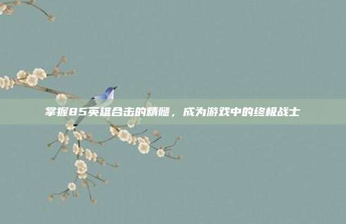 掌握85英雄合击的精髓，成为游戏中的终极战士-第1张图片-速奇网