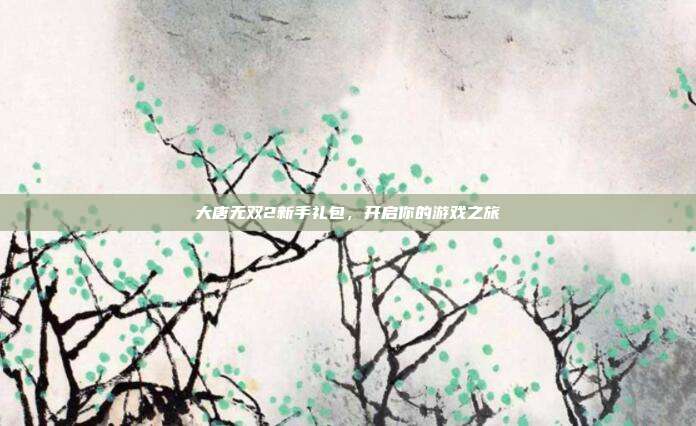 大唐无双2新手礼包，开启你的游戏之旅-第1张图片-速奇网