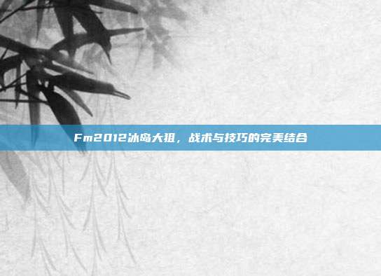 Fm2012冰岛大狙,战术与技巧的完美结合-第1张图片-速奇网 Fm2012冰岛大狙,战术与技巧的完美结合-第1张图片-速奇网