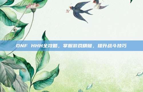 DNF HHH全攻略,掌握游戏精髓,提升战斗技巧-第1张图片-速奇网 DNF HHH全攻略,掌握游戏精髓,提升战斗技巧-第1张图片-速奇网
