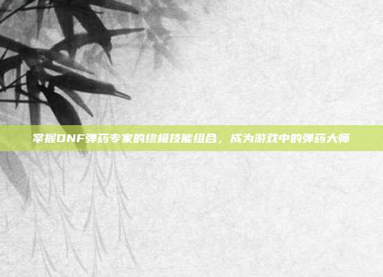掌握DNF弹药专家的终极技能组合，成为游戏中的弹药大师-第1张图片-速奇网