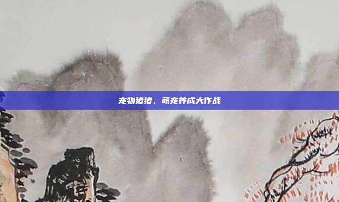 宠物猪猪,萌宠养成大作战-第1张图片-速奇网 宠物猪猪,萌宠养成大作战-第1张图片-速奇网