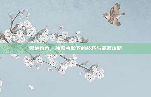 雪地拉力,冰雪考验下的技巧与策略攻略-第1张图片-速奇网 雪地拉力,冰雪考验下的技巧与策略攻略-第1张图片-速奇网