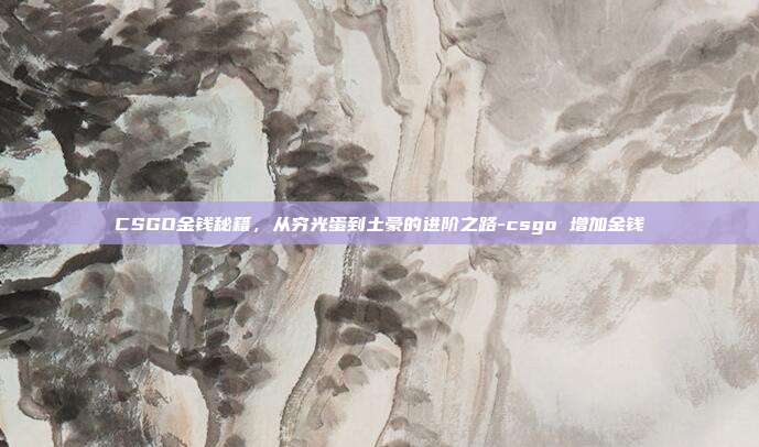 CSGO金钱秘籍，从穷光蛋到土豪的进阶之路-csgo 增加金钱-第1张图片-速奇网