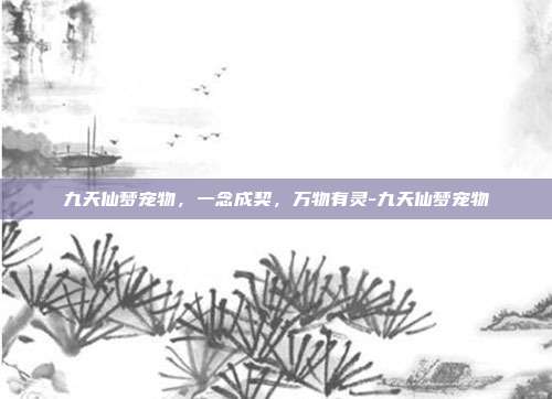 九天仙梦宠物,一念成契,万物有灵-九天仙梦宠物-第1张图片-速奇网 九天仙梦宠物,一念成契,万物有灵-九天仙梦宠物-第1张图片-速奇网