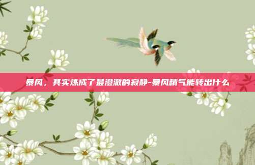 暴风,其实炼成了最澄澈的寂静-暴风精气能转出什么-第1张图片-速奇网 暴风,其实炼成了最澄澈的寂静-暴风精气能转出什么-第1张图片-速奇网