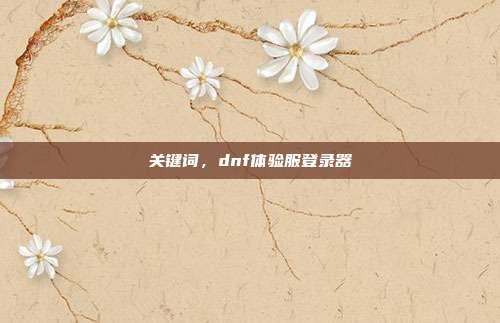 关键词，dnf体验服登录器-第1张图片-速奇网