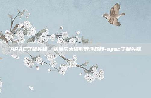 APAC守望先锋,从星辰大海到竞逐巅峰-apac守望先锋-第1张图片-速奇网 APAC守望先锋,从星辰大海到竞逐巅峰-apac守望先锋-第1张图片-速奇网