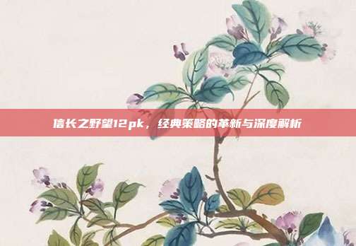 信长之野望12pk，经典策略的革新与深度解析-第1张图片-速奇网