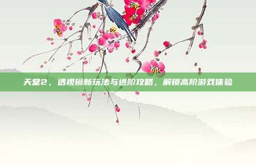 天堂2,透视镜新玩法与进阶攻略,解锁高阶游戏体验-第1张图片-速奇网 天堂2,透视镜新玩法与进阶攻略,解锁高阶游戏体验-第1张图片-速奇网