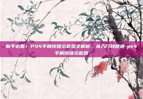 新手必看！PS4手柄按键示意图全解析，从入门到精通-ps4手柄按键示意图-第1张图片-速奇网