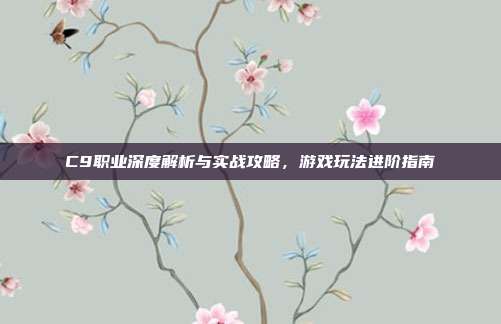 C9职业深度解析与实战攻略，游戏玩法进阶指南-第1张图片-速奇网