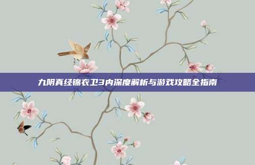 九阴真经锦衣卫3内深度解析与游戏攻略全指南-第1张图片-速奇网