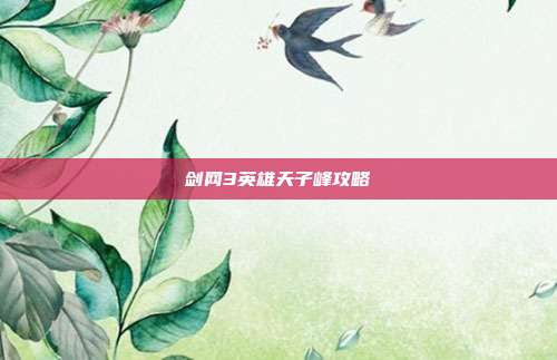 剑网3英雄天子峰攻略-第1张图片-速奇网 剑网3英雄天子峰攻略-第1张图片-速奇网
