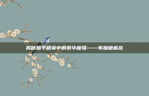 揭秘和平精英中的豪华座驾——布加迪威龙-第1张图片-速奇网 揭秘和平精英中的豪华座驾——布加迪威龙-第1张图片-速奇网
