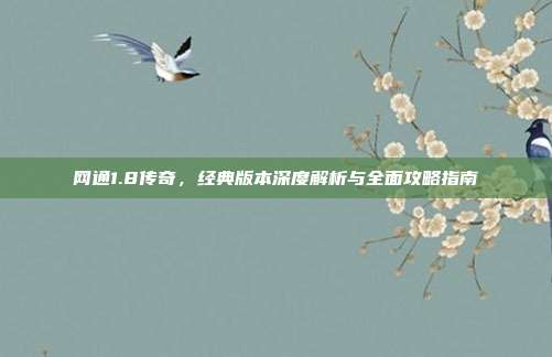 网通1.8传奇，经典版本深度解析与全面攻略指南-第1张图片-速奇网