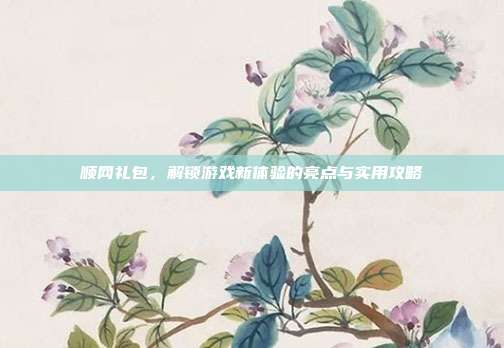 顺网礼包,解锁游戏新体验的亮点与实用攻略-第1张图片-速奇网 顺网礼包,解锁游戏新体验的亮点与实用攻略-第1张图片-速奇网