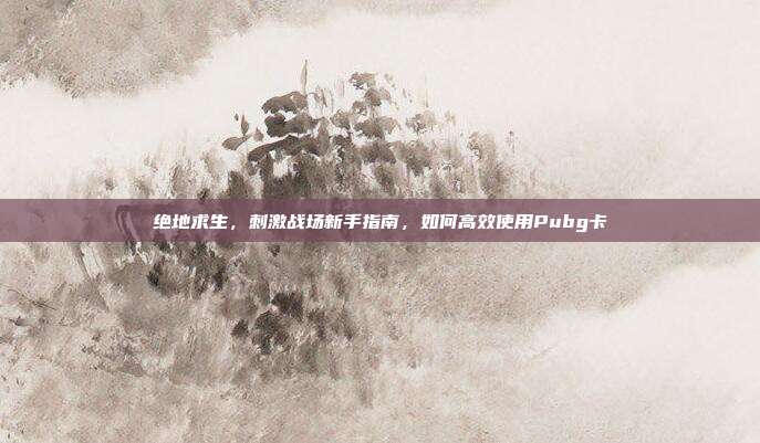 绝地求生,刺激战场新手指南,如何高效使用Pubg卡-第1张图片-速奇网 绝地求生,刺激战场新手指南,如何高效使用Pubg卡-第1张图片-速奇网