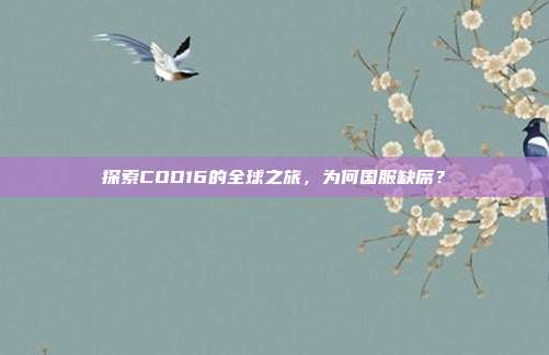 探索COD16的全球之旅,为何国服缺席?-第1张图片-速奇网 探索COD16的全球之旅,为何国服缺席?-第1张图片-速奇网