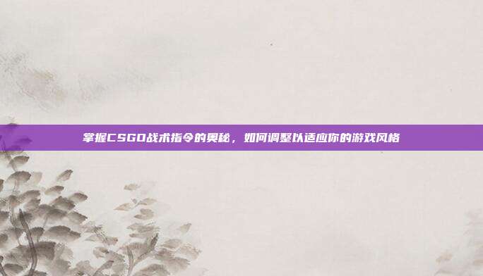 掌握CSGO战术指令的奥秘，如何调整以适应你的游戏风格-第1张图片-速奇网