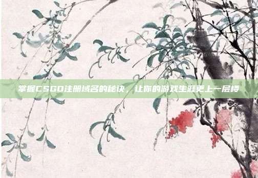 掌握CSGO注册域名的秘诀，让你的游戏生涯更上一层楼-第1张图片-速奇网
