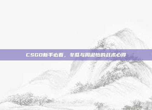 CSGO新手必看，冬瓜与周淑怡的战术心得-第1张图片-速奇网