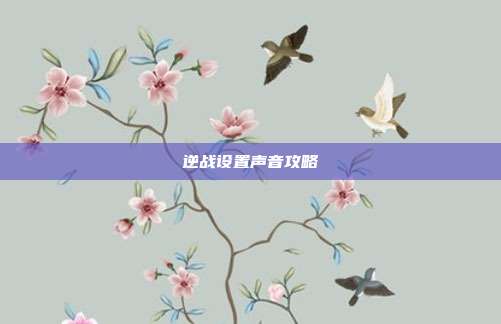 逆战设置声音攻略-第1张图片-速奇网 逆战设置声音攻略-第1张图片-速奇网