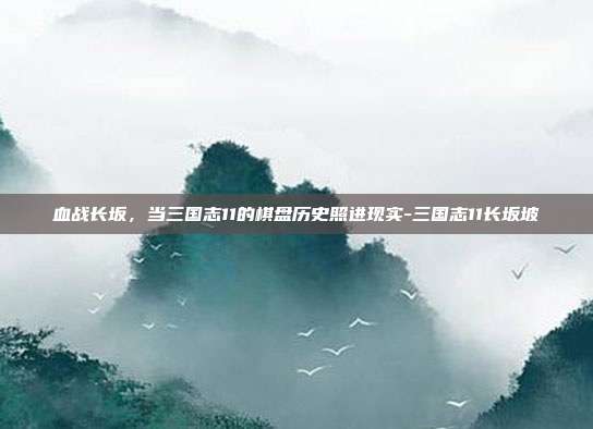 血战长坂，当三国志11的棋盘历史照进现实-三国志11长坂坡-第1张图片-速奇网