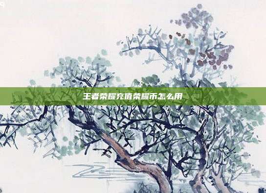 王者荣耀充值荣耀币怎么用-第1张图片-速奇网 王者荣耀充值荣耀币怎么用-第1张图片-速奇网