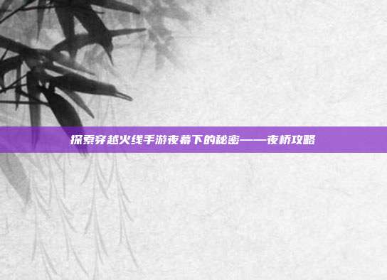 探索穿越火线手游夜幕下的秘密——夜桥攻略-第1张图片-速奇网 探索穿越火线手游夜幕下的秘密——夜桥攻略-第1张图片-速奇网