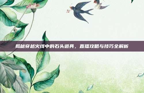 揭秘穿越火线中的石头道具,直播攻略与技巧全解析-第1张图片-速奇网 揭秘穿越火线中的石头道具,直播攻略与技巧全解析-第1张图片-速奇网