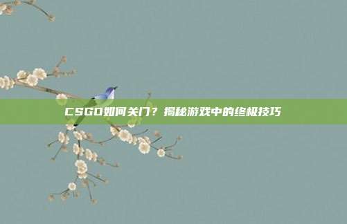 CSGO如何关门?揭秘游戏中的终极技巧-第1张图片-速奇网 CSGO如何关门?揭秘游戏中的终极技巧-第1张图片-速奇网